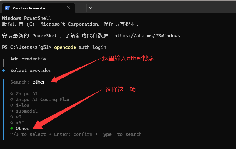 OpenCode 选择 other 服务商